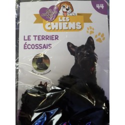 N°44 Le Terrier Ecossais