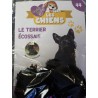 N°44 Le Terrier Ecossais