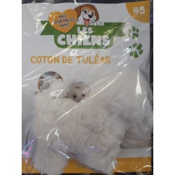 N°45 Coton de Tuléar