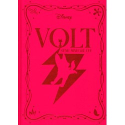 N°40 Volt Star Malgrès Lui