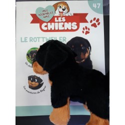 N°47 Le Rottweiler