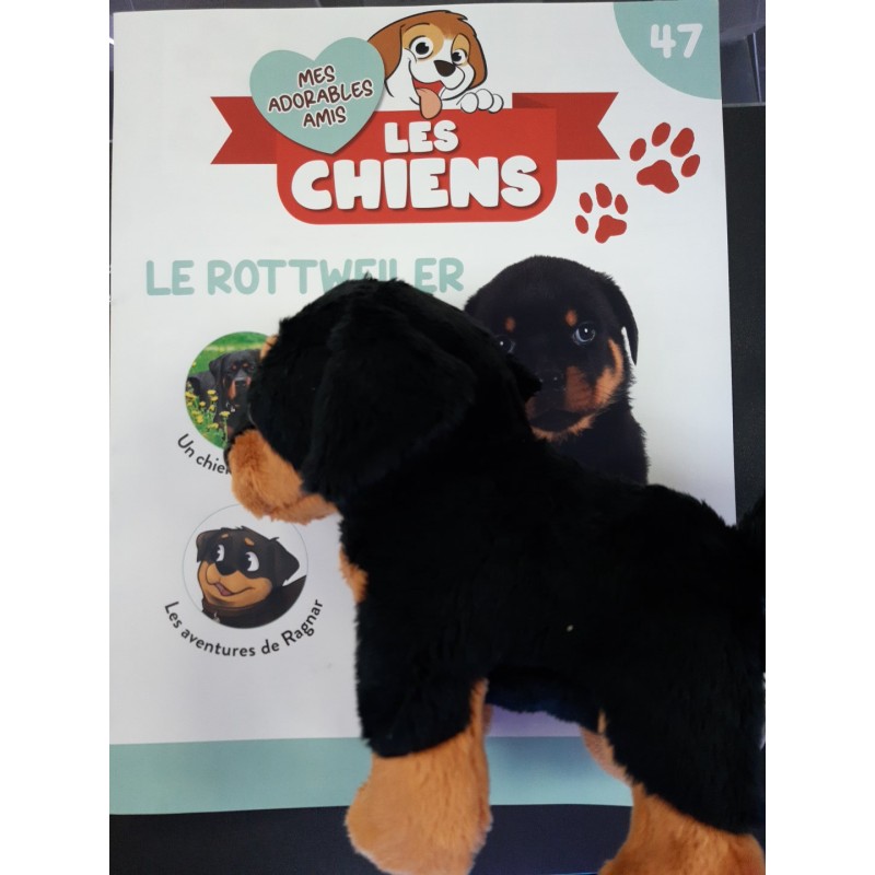N°47 Le Rottweiler